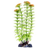 Penn Plax Ambulia Green 28 cm - Aquarium Decoration