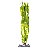 Penn Plax Corkscrew Val 33 cm - Aquarium Decoration