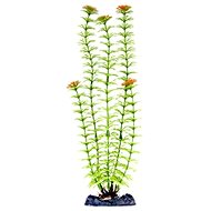 Penn Plax Ambulia 33 cm - Aquarium Decoration