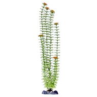 Penn Pla Ambulia Green Super 45,5 cm - Aquarium Decoration