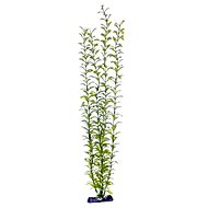 Penn Pla Blooming Ludwigia Green Giant 56 cm - Aquarium Decoration