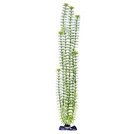 Penn Pla Ambulia Green Giant 56 cm - Aquarium Decoration