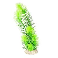 Ebi Aqua Della Hormwort green 24 cm - Aquarium Decoration