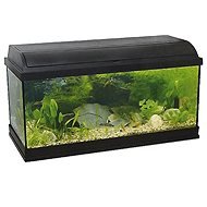 Pacific 100 aquarium with equipment 120 l 100 × 30 × 40 cm 30 W - Aquarium Kit