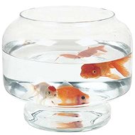 Zolux akvárium skleněný válec 6 l - Aquarium