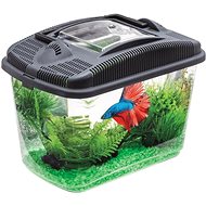 Aquael Betta Kit - Aquarium Kit