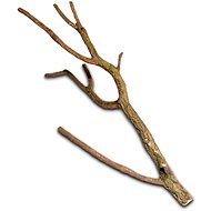Hobby Cork Branch M 50 - 75 cm - Aquarium Decoration