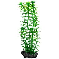 Tetra Plant Anacharis S 15 cm - Aquarium Decoration