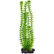 Tetra Plant Ambulia L 30 cm - Aquarium Decoration