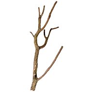 Hobby Cork branch 75-100 cm - Terrarium Ornaments