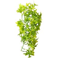 Hobby Ivy climbing plant terrarium decoration 37 cm - Terrarium Ornaments