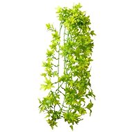 Hobby Ivy climbing plant terrarium decoration 70 cm - Terrarium Ornaments