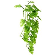 Hobby Philo climbing plant terrarium decoration 37 cm - Terrarium Ornaments