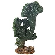 Hobby Cactus Victoria 22 cm - Terrarium Ornaments