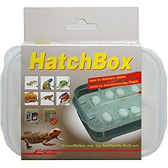Lucky Reptile HatchBox 17 × 11 cm - Terrarium Supplies