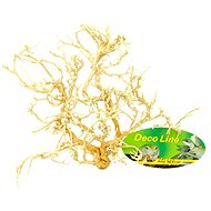 Lucky Reptile Desert Bushes Bleached 25-40 cm - Terrarium Ornaments