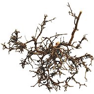 Lucky Reptile Desert Bushes Natural 25-40 cm - Terrarium Ornaments