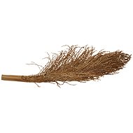 Lucky Reptile Palm Torch 30-40 cm - Terrarium Ornaments