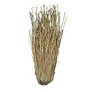 Lucky Reptile Grass Bushes 25-40 cm - Terrarium Ornaments