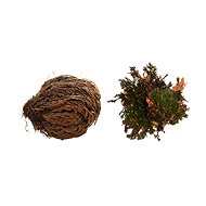 Lucky Reptile Rose of Jericho 50 g - Terrarium Ornaments