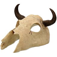 Repti Planet Buffalo skull decoration 12,5 × 11,8 × 8 cm - Terrarium Ornaments