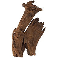 Repti Planet Root DriftWood Bulk M 29-36 cm - Terrarium Ornaments