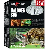 Repti Planet bulb Halogen Sun 25 W - Terrarium Light