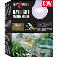 Repti Planet Daylight bulb Neodymium 50 W - Terrarium Light