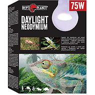 Repti Planet Daylight bulb Neodymium 75 W - Terrarium Light