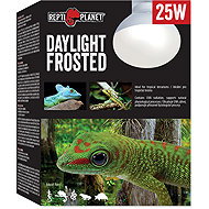 Repti Planet Bulb Daylight Frosted 25 W - Terrarium Light