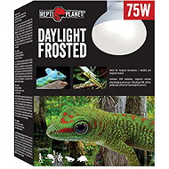 Repti Planet Bulb Daylight Frosted 75 W - Terrarium Light