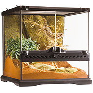 Hagen Exo Terra 30 × 30 × 30 cm - Terrarium
