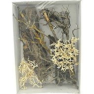 Lucky Reptile Deco Set Desert - Terrarium Ornaments
