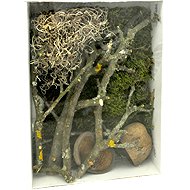 Lucky Reptile Deco Set Jungle - Terrarium Ornaments