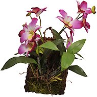 Lucky Reptile Jungle Plants Flowering Hanging Orchid - purple 20 × 30 cm - Terrarium Ornaments