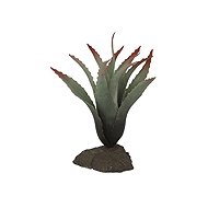 Lucky Reptile Succulents Tillandsia, approx. 20 cm - Terrarium Ornaments