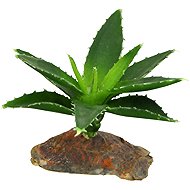 Lucky Reptile Succulents Agave small, approx. 10 cm - Terrarium Ornaments