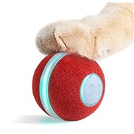 Cheerble Ball toy for cats and small dogs - Cat Toy