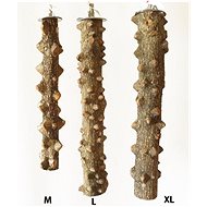 Terra International Pepper tree perch 4 - 6 × 30 cm XL - Bird Perch