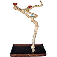 Terra International Coffee tree floor tree for small, medium and large parrots 157 cm - Parrot Tree