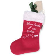 P. L. A. Y. Surprise sock - Dog Toy