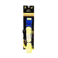 DUVO+ Luminous Nylon Collar with USB Charging 40-55cm × 2.5cm - Dog Collar