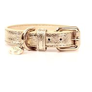 M&P Collar Python Gold 40 × 2 cm - Dog Collar