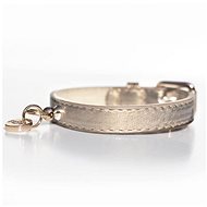 M&P Collar Shine Gold - Dog Collar