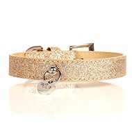 M&P Collar Stardust Gold 35 × 2 cm - Dog Collar