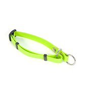 Fenica iQsil Collar, Green - Dog Collar