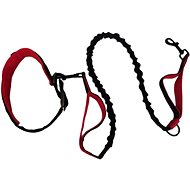 Yupeng Set wide collar and flexible leash for medium and large dogs - Dog Collar