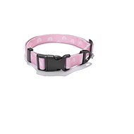 EXPLORER DOG Collar Rainbow L 41-66 × 2,5 cm - Dog Collar
