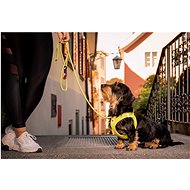 Pet Amour Harness Curli Claps Lime 2XS - Harness
