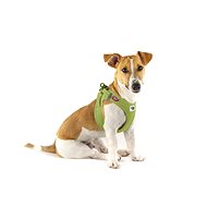 Pet Amour Harness Curli Claps Lime M - Harness